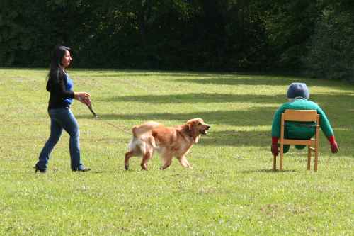 20100912-Ge-IMG2460-NZB-Malte-Puppe