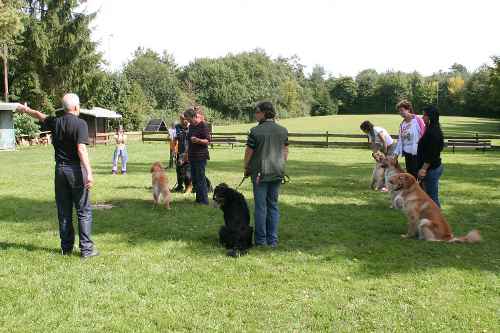 20100912-Ge-IMG2642-NZB-Vorstellung-M-Wurf-GueltsteinerTor