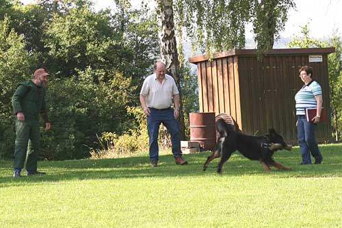 20110829-IMG1607-Matze-GueltsteinerTor