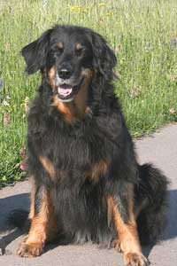 Kaline-20060603-11Jahre-300