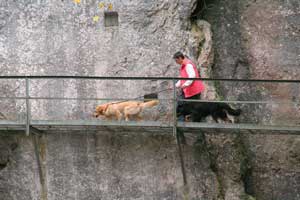20061023-IMG2307CR-Poellatschlucht