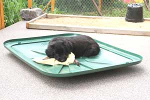 20080805-Ge-IMG3606-Linus