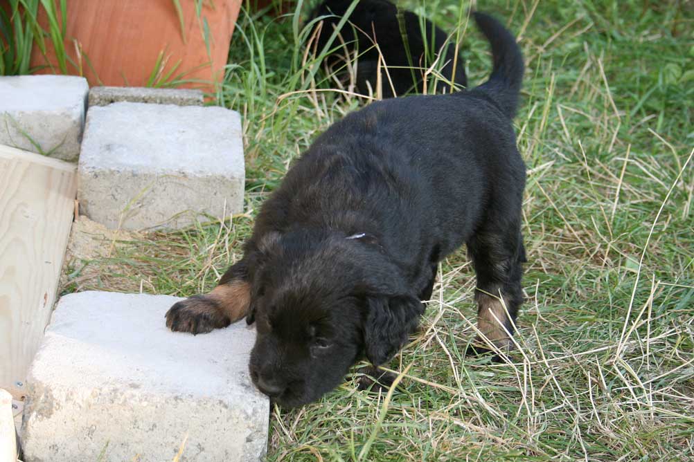 20080723-Il-IMG2284-Lenja